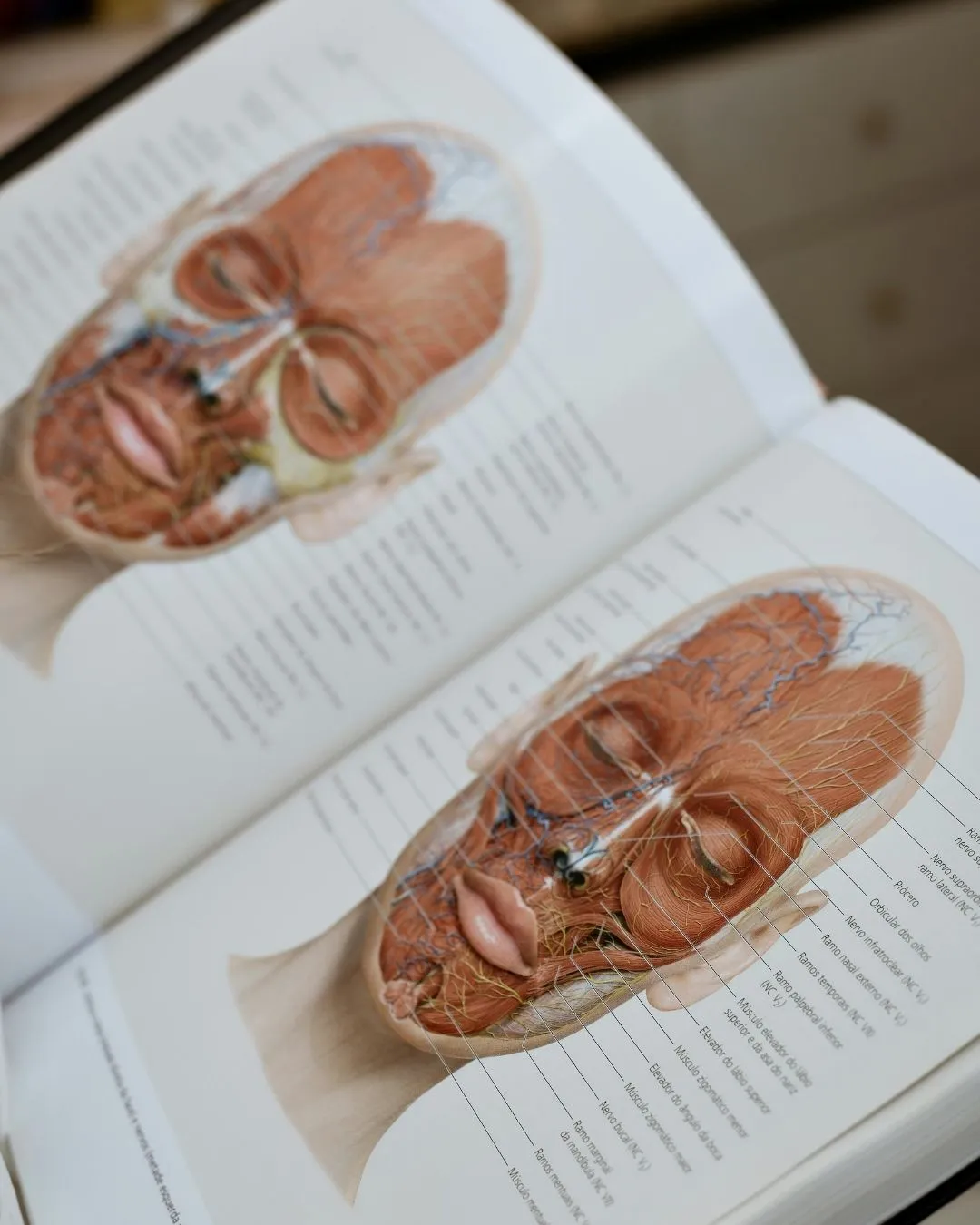 Program kursu KORUGI